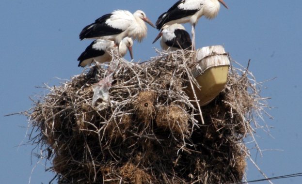 На 6 август църквата отбелязва Преображение Господне Този празник е