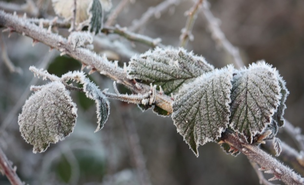 Днес вятърът в цялата страната ще се ориентира от северозапад