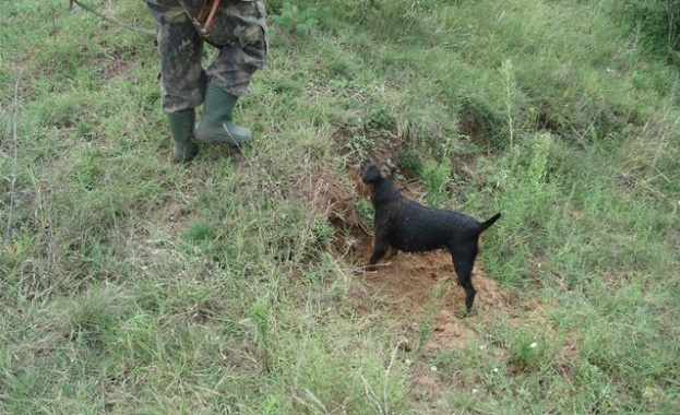 Трима убити и трима тежко ранени Това е равносметката само