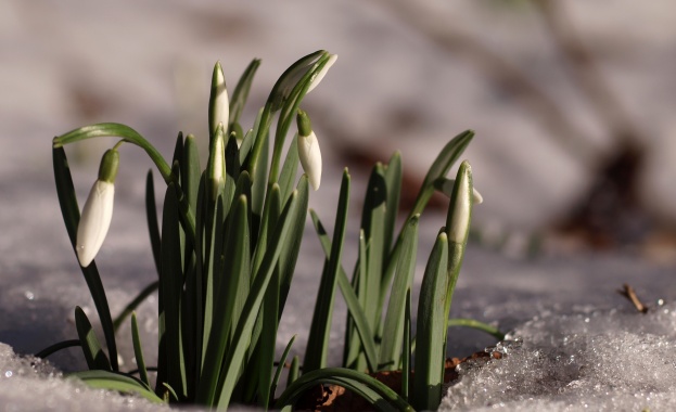 Астрономическата пролет настъпва у нас в 18 часа и 15