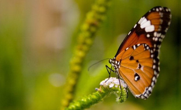 Април си отива със слънце с ясно и топло време