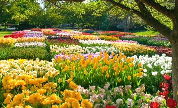 Очаква ни трайно затопляне което ще се задържи и след