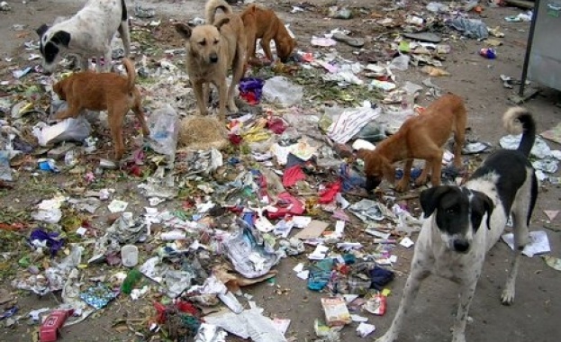 Зоополицаи в действие От януари 2016 година у нас заработиха