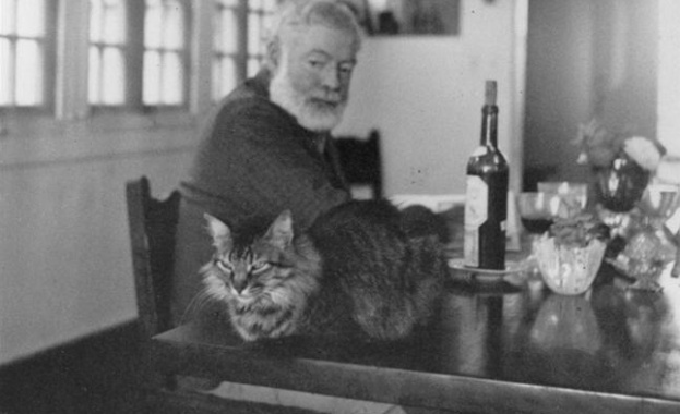 Светът е прекрасно място и си струва да се борим