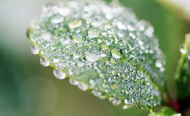 Първите 10 дни на месец май тази година са били