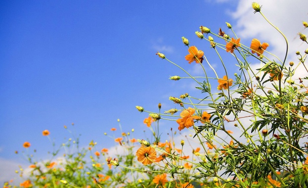 През уикенда ни очаква хубаво време В следобедните часове над