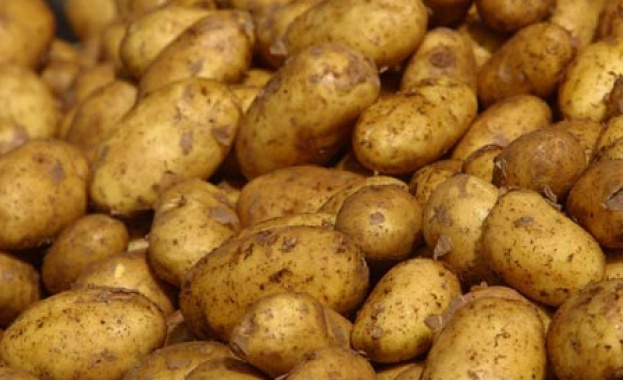 Между 400 и 450 хиляди тона картофи годишно са необходими