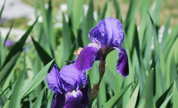 Красотата на Вселената се състои не само в единството на
