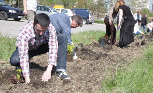 22 нови дървета бяха засадени в празни обособени места по