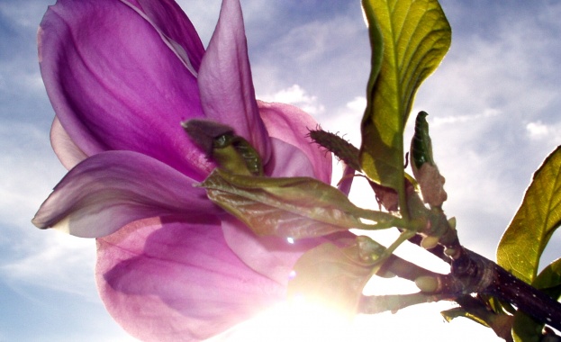 Със слънчево време ще започне новата седмица Времето през нощта