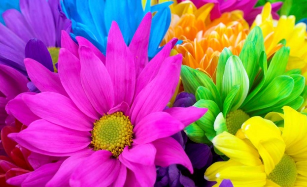 В Бургас десетки жители и гости на града се събраха