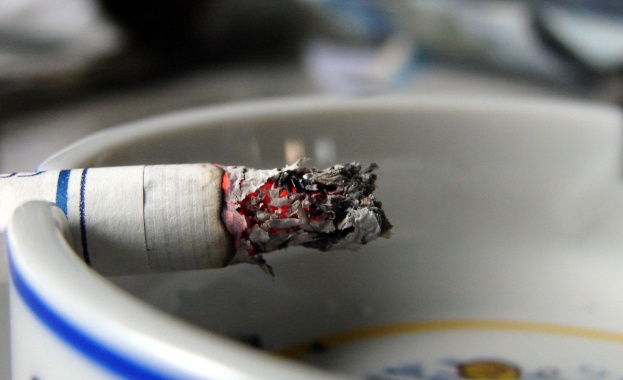 Златистият стафилокок Staphylococcus aureus един от най опасните патогени в света