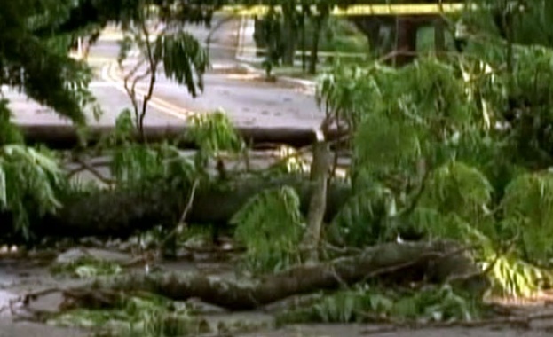 Двама души загинаха в северната германска провинция Хамбург и един