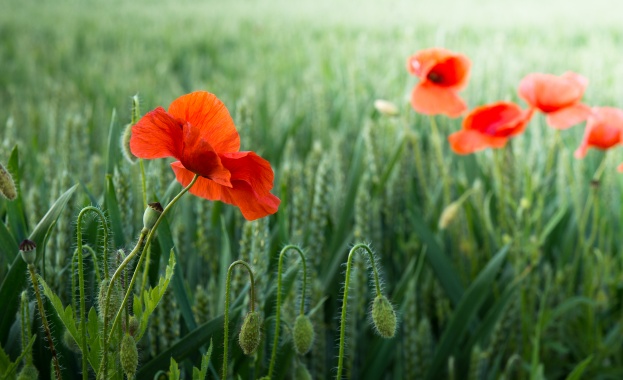 Всяка истина преминава през три фази Отначало е осмивана След