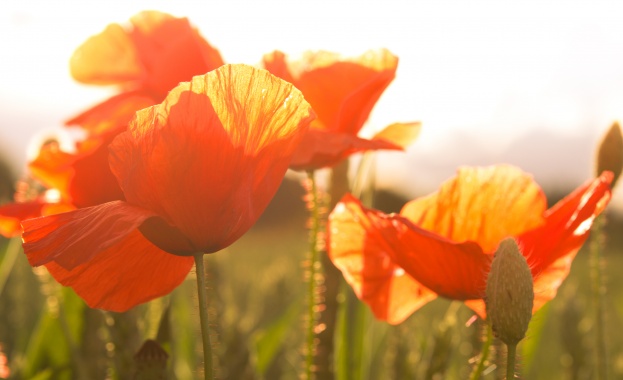 София От 10 30 часа в сграда Джон Атанасов в София