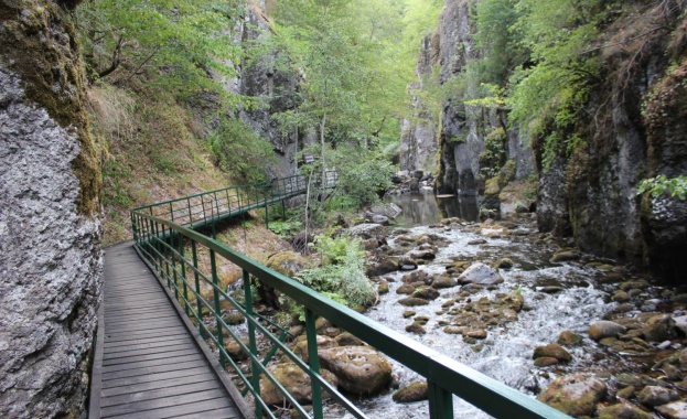 От всички нелепи постъпки на човечеството нищо не е по