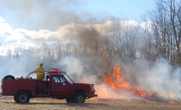 На гръцкия остров Закинтос където от вчера бушува голям горски
