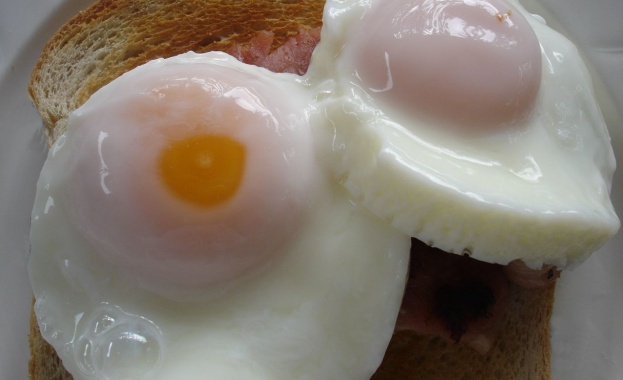 Да има по един висш представител по безопасност на храните