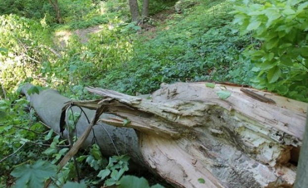 По информация на БНТ 38 годишен мъж е починал след като