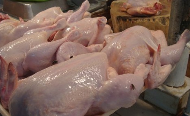 Франция спира избиването на мъжките пилета в птицефермите. Правилото трябва