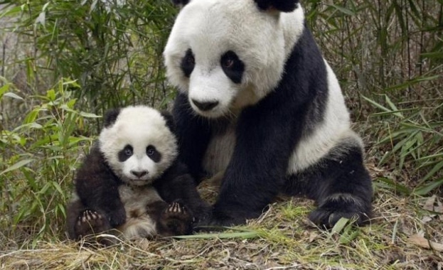 http://www.cross.bg/photo_new_gallery/2012/10/16/250bf94f54596d90d54b935189aa24fe.jpg http://www.cross.bg/photo_new_gallery/2012/10/16/250bf94f54596d90d54b935189aa24fe.jpg