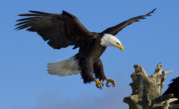 Най трудно е да вземеш решение да действаш Оттам нататък