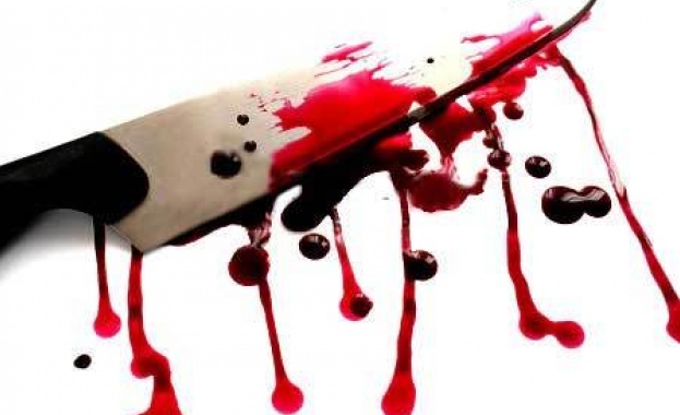 21 годишна жена от Лозница намушка с нож мъжа с когото