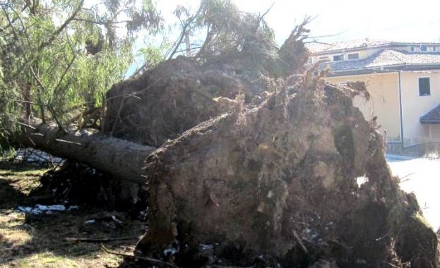 Екипи на РСПБЗН Шумен и полицейски екипи са оказвали съдействие
