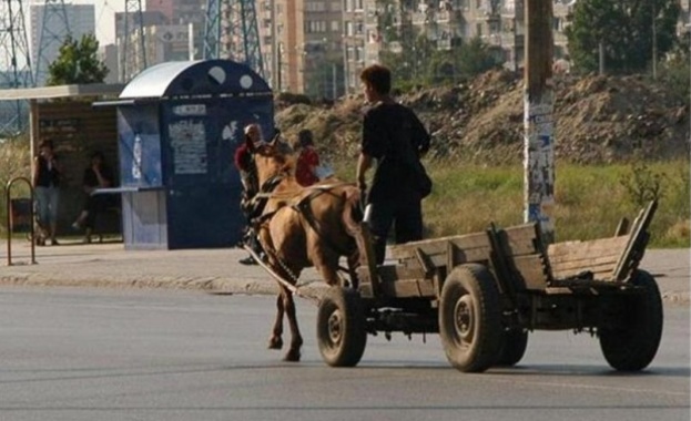 Засилени проверки на каруци започват в столицата по настояване на