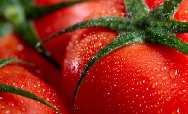 Държавната комисия по стоковите борси и тържищата регистрира поевтиняване на