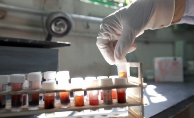 Европейската комисия представи днес оценката си за кандидатурите на държавите