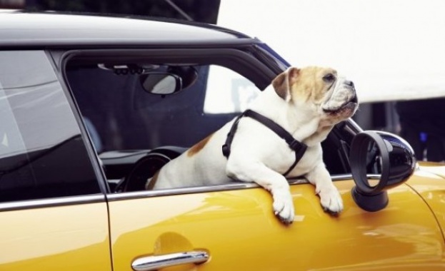 Докато повечето партии в Кипър са ангажирани предимно с разрешаването