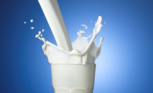 Децата, които пият пълномаслено мляко до 6-годишна възраст, в последствие