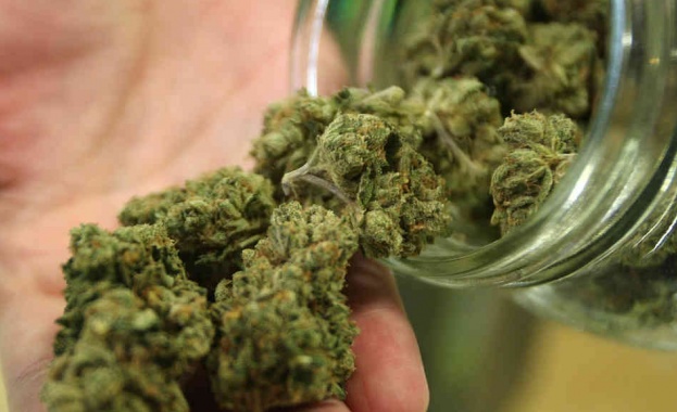 Митничари откриха 160 килограма коноп в товарен автомобил Това стана