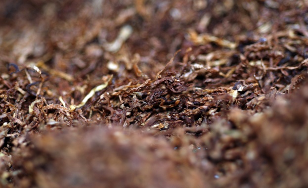 Пороен дъжд и градушка унищожиха реколтата в района на Кирково