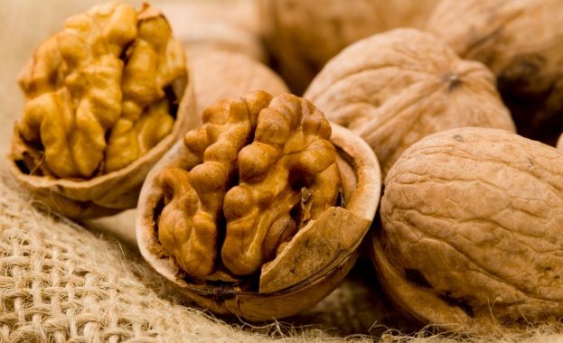 Консумацията на орехи може да е ключът към по доброто здраве