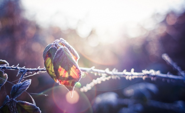 Не се страхувайте от живота Повярвайте че животът си струва