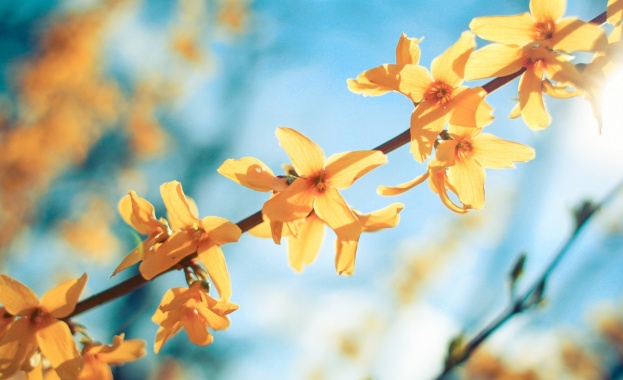 София От 9 30 часа ще се проведе закрито заседание