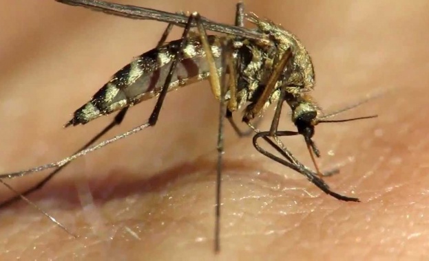През месец юли ежеседмично ще се третират против комари тревните