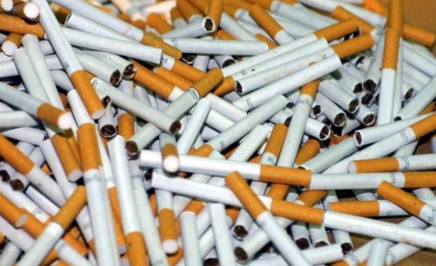 Шест процента е делът на потребление на незаконни цигари през