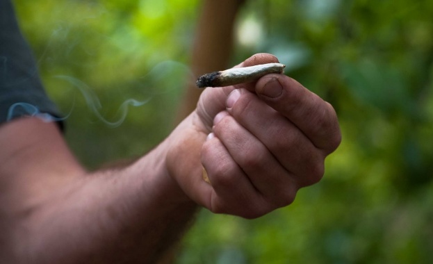 Съвременната марихуана вече не е мека дрога. Това заяви началникът