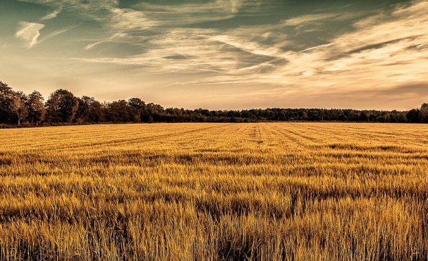 79 сигнала са подадени до прокуратурата за договори за преотдаване