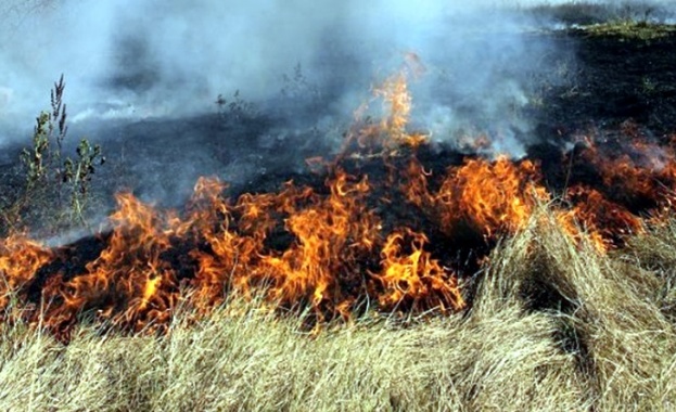 Екип на Югозападно държавно предприятие овладя пожар край симитлийското село