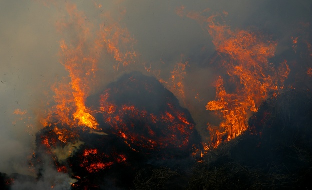 Пожар гори в землището на село Стара Кресна огънят е