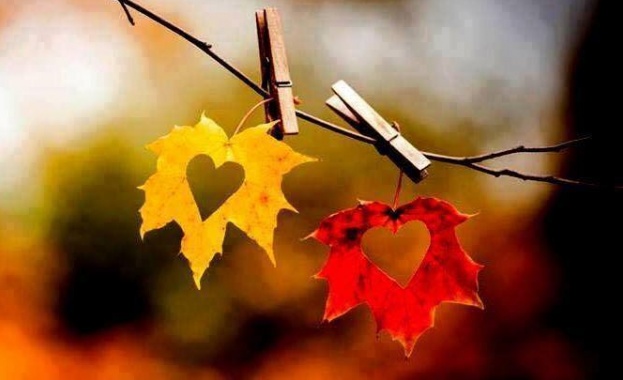 София От 09 00 часа ще се проведе заседание на