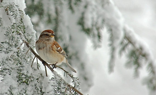 Днес и в Източна България валежите ще отслабнат след обяд