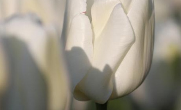 София От 10 00 часа ще започне седмичното заседание на