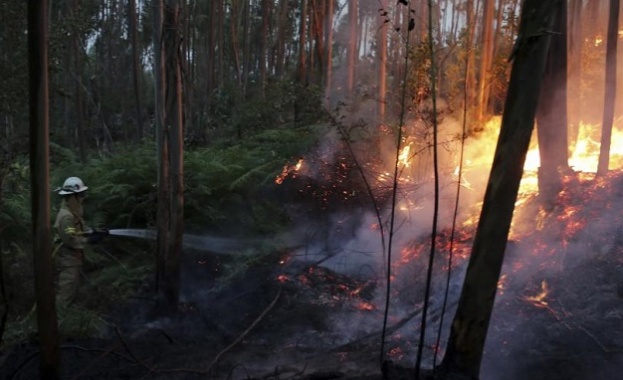 Португалия обяви тридневен национален траур от днес до вторник в