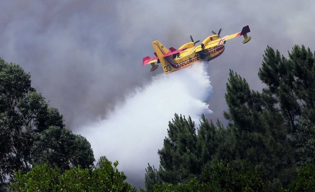 Самолет, ангажиран в гасенето на големия горски пожар в Португалия,