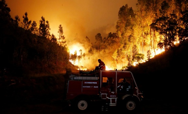 Горските пожари в Португалия които отнеха живота на повече от